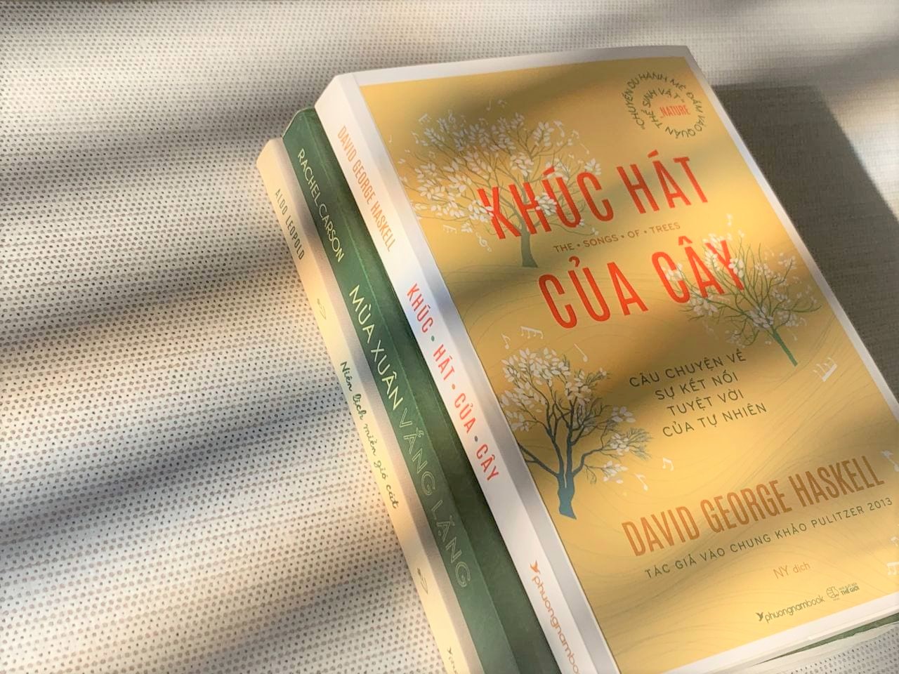 khuc hat cua cay david haskell